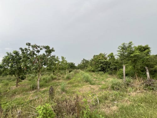 🏦Land for Urgent sale (Negotiable), ABA Loan Available