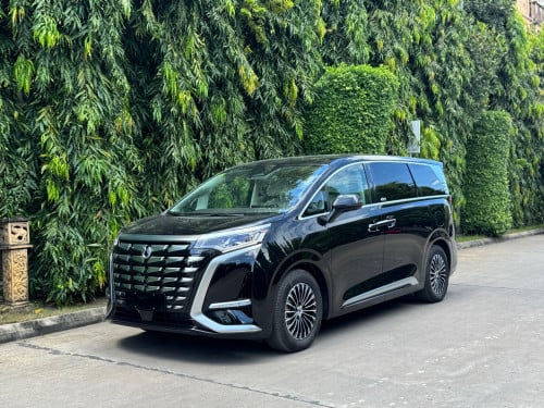 2025 DENZA D9 DMI 1050(7seats)