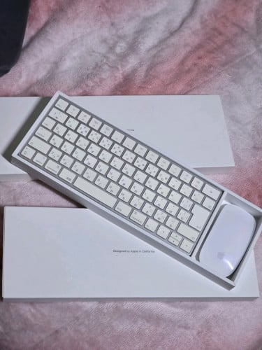 Apple Mouse and Keyboard Magic 2