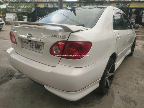 ម្ចាស់ដើម