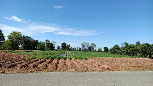 ដីលក់ 65m×150m នៅស្រុកអង្គរជុំ ឃុំស្រែខ្វាវ ខេត្តសៀមរាប