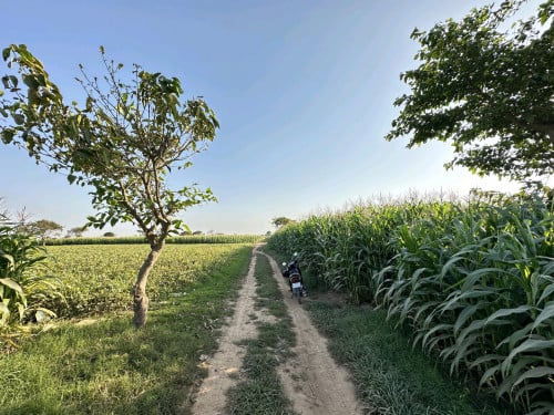 ដីលក់លើផ្លូវ 40ម៉ែត្រ និងជិតជាប់កែង 20ម៉ែត្រ