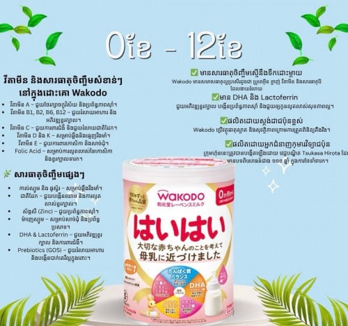 ទឹកដោះគោជប៉ុនWAKODO