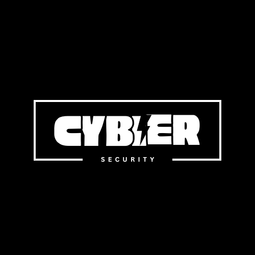 Web Application Security / Pentester