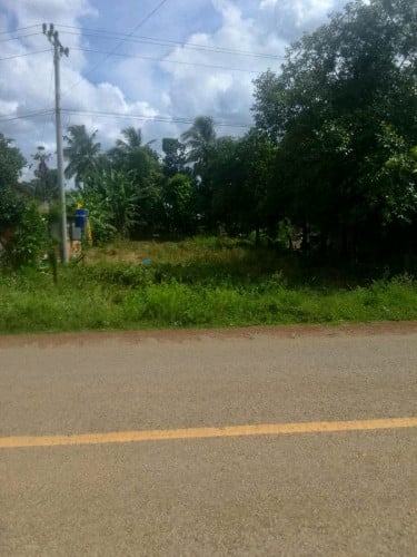 ដីលក់បន្ទាន់