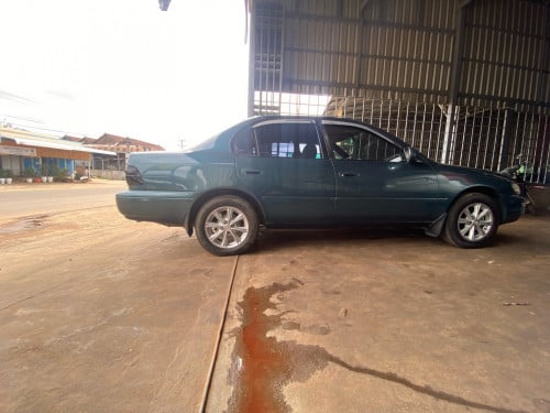 ធានាឡានស្អាត