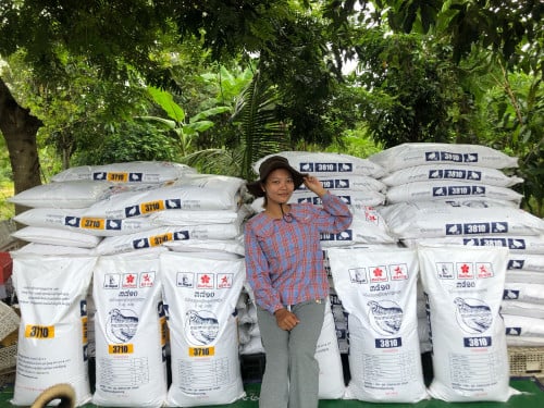 ចំណីក្រួច Quail feed