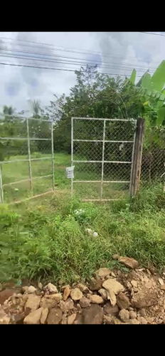 ដីភូមិលក់តម្លៃល្អ (ក្បាល10m បណ្ដោយ45m)