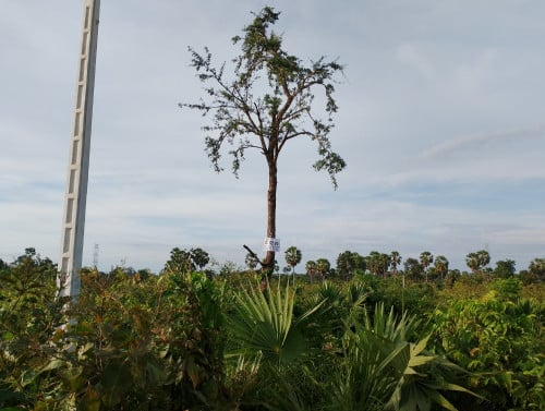 ដីលក់នៅ ក្រុងឧដុង្មម៉ែជ័យ $25