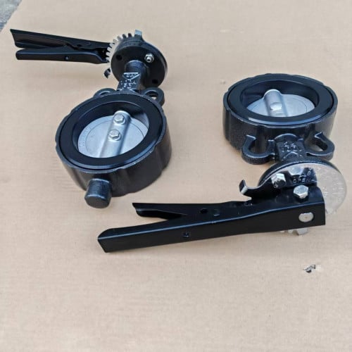 វ៉ាន់មេអំបៅក្រាស់