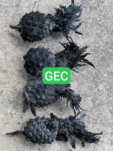 ACTIVATED CABON ធ្យូងកាបូនសកម្ម តម្លៃពិសេសសម្រាប់រោងចក្រទឹកសុទ្ធក្នុងប្រទេសកម្ពុជា