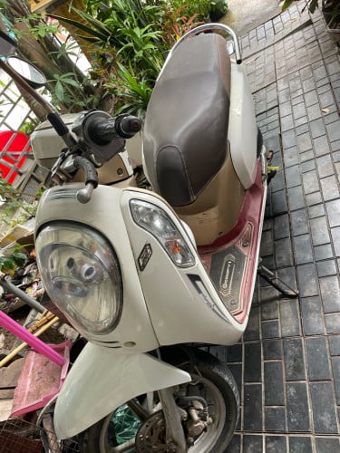 Honda scoopy I 015