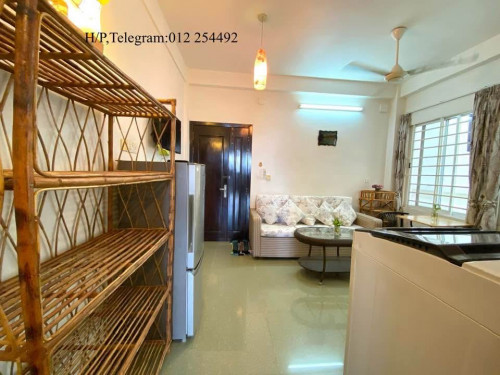 Nice Fully Furnished Apartment for Rent
