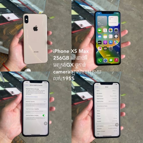 Telegram 017847502/@worstbfasf