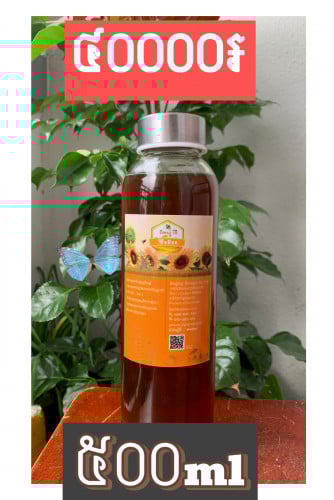 ទឹកឃ្មុំវីប៊ី