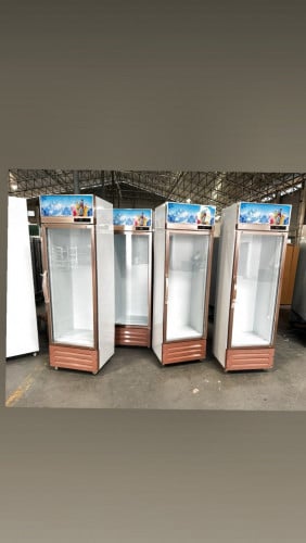 ទូទឹកកក ប្រភេទតាំងភេស្ជជះ