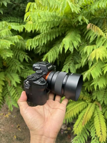Sony A7 ii &​ Len sony 50mm f1.8