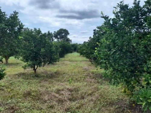 🏦🏦Land for Urgent sale (Negotiable), ABA Loan Available