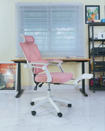 Home office chairs (សំណាញ់ពូក)