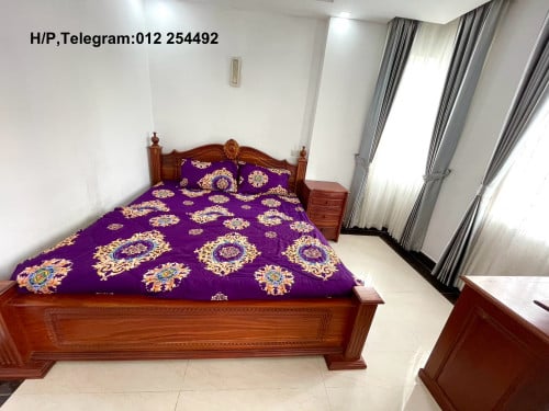 Nice Fully Furnished Elevator Apartment for Rent