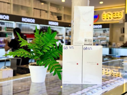 Xiaomi 15T Pro Global Version