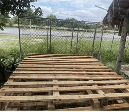 បាឡែត​ សាច់ឈេី​មាំ​ គុណ​ភាព​ល្អ​