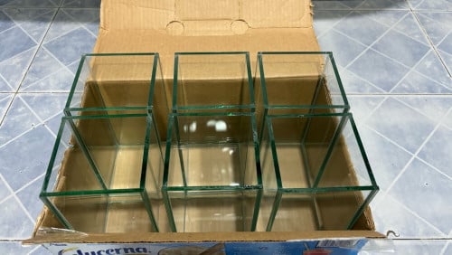 កែវត្រីក្រឹម