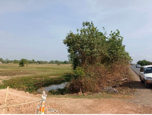 ដីលក់បន្ទាន់ ជាប់ផ្លូវជាតិ 31 (ប្លង់រឹង)