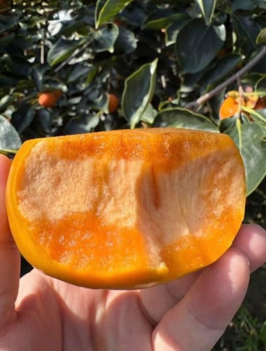 #postទំលាប់កូរ៉េស្រួយឆ្ងាញ់😋😋