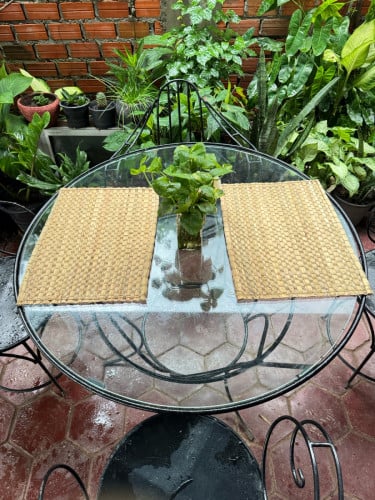 ទ្រនាប់ចាន,Water Hyacinth Placemat