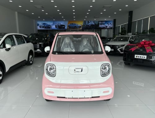 Bestune Xiaoma រត់បានចំងាយ222km