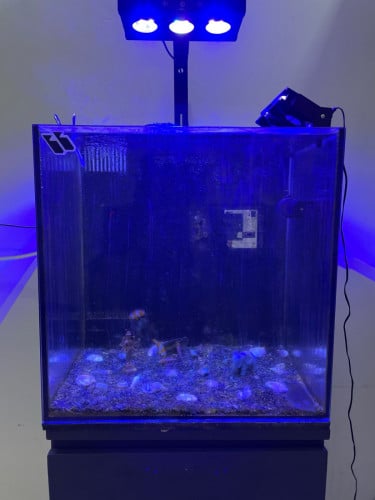 លក់ទូត្រី មានគ្រឿងទាំងអស់យកទៅប្រើបាន ( មូលហេតុអត់មានពេលមើលថែ )