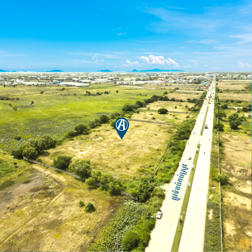 ដីលក់បន្ទាន់ត (ជាប់ផ្លូវកប់ស្រូវ+តម្លៃទាបជាងគេក្នុងតំបន់)