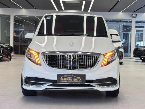 2016 Mercedes V Class  (賓士V級)