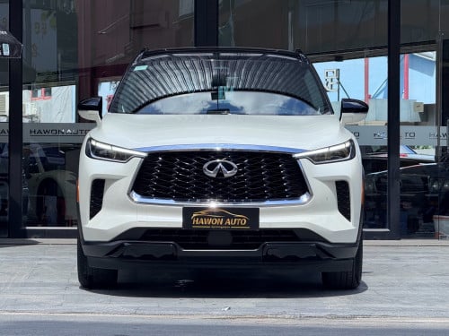 2022 INFINITI QX60 2022 (英菲尼迪 QX60)