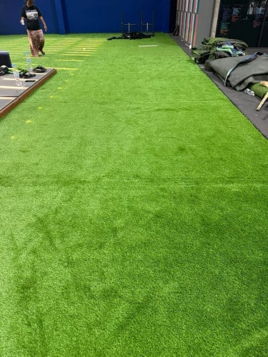 Artificial turf (Grass, field, carpet)