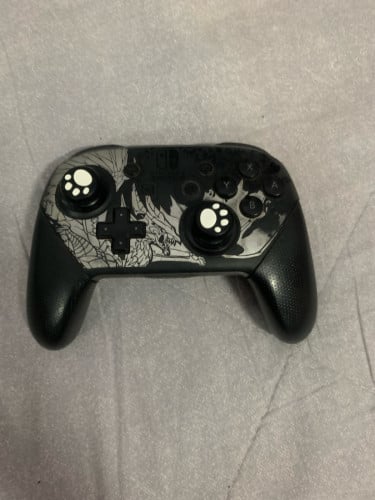 Pro controller