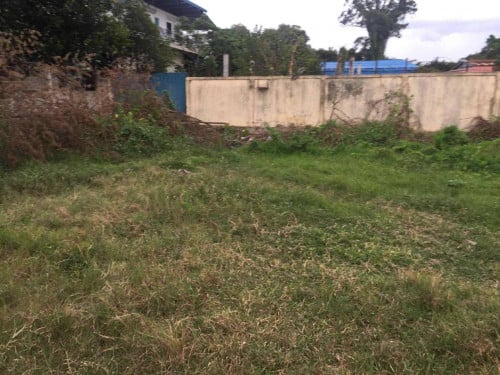 ដីលក់បន្ទាន់ នៅក្រោយសាលា​មហាវិទ្យាល័យកសិកម្មចំការដូង