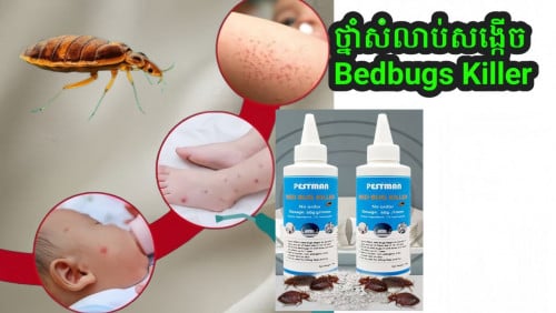 ថ្នាំកម្ចាត់ចៃ សង្កើច