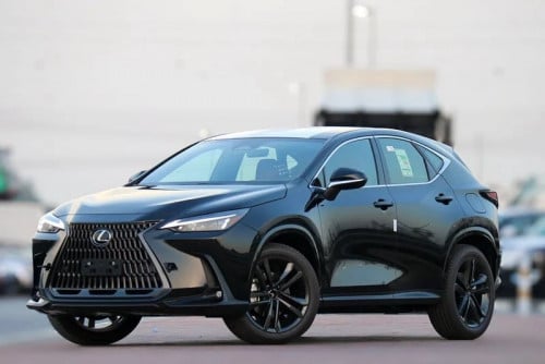 Lexus NX350 2025 Arab Spec (ខ្លាញ់គោ)