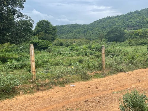 ដីលក់បន្ទាន់តម្លៃក្រោមទីផ្សារ 13500$ ចរចា