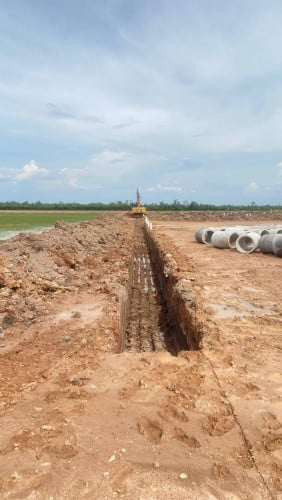 ដីឡូ​ច្រកអន្តរជាតិបាវិត