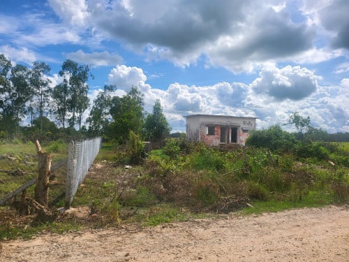 ដីលក់រឺជួល ក្បាល 35ម * 55ម ប្លង់រឹង ជាប់ផ្លូវរដ្ឋចុះពីផ្លូវកែងកៅស៊ួ80ម និងបណ្តាញ ភ្លើង EDC