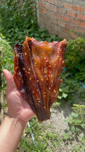 ងៀតត្រីរ៉ស់ និង ងៀតអណ្តែង រសជាតិឆ្ងាញ់👍