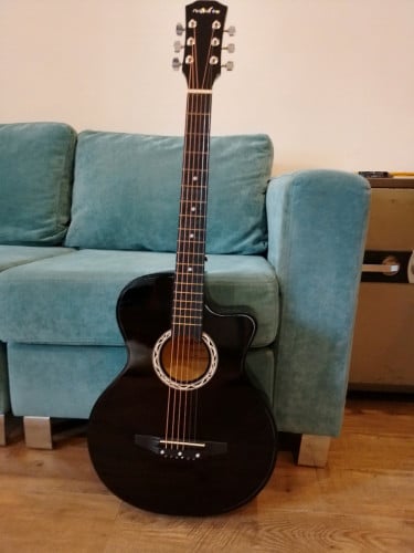 Guitar សារី 2010