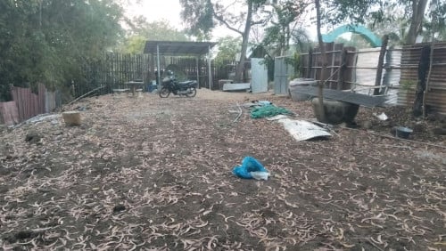 ដីសម្រាប់ជួល