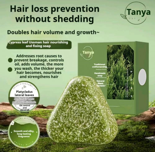 សាប៊ូកក់បណ្ដុះសក់