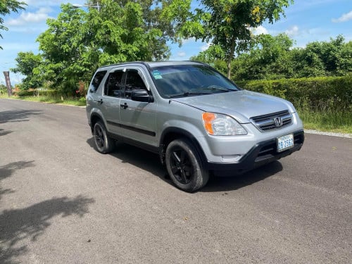 លក់យកដើម