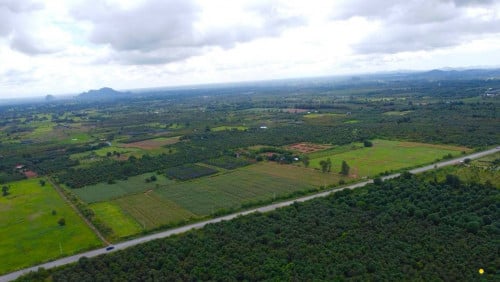 ដីលក់បន្ទាន់ជាប់ផ្លូវ1335ហេីយជាប់ជេីងភ្នំ