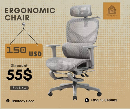 Ergonomic Chair, Chair, កៅអី